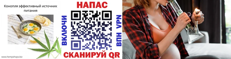 продажа наркотиков  hydra маркетплейс  Canna-Cookies марихуана  Партизанск 