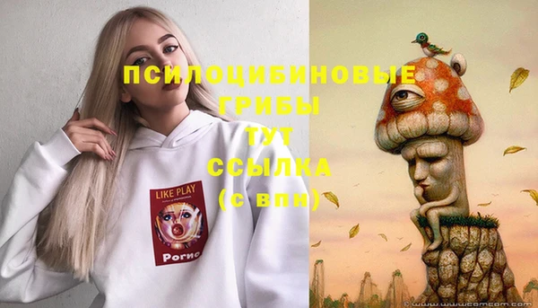 стафф Новозыбков