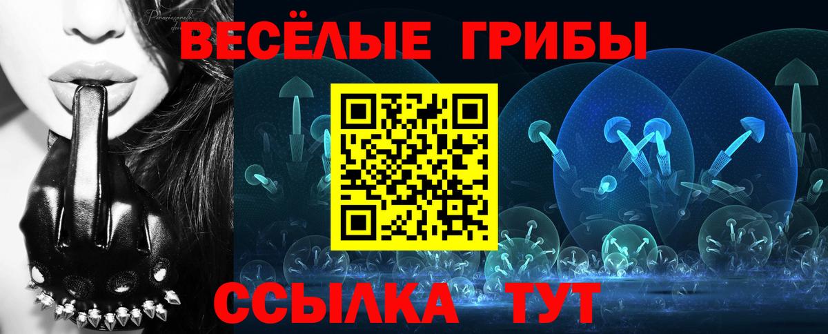 Галлюциногенные грибы Psilocybe  Вход с VPN  Партизанск  Псилоцибиновые грибы GOLDEN TEACHER 